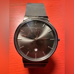 Skagen Watch